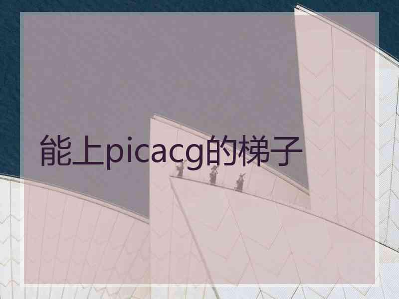 能上picacg的梯子