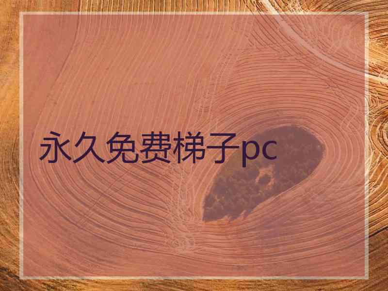 永久免费梯子pc