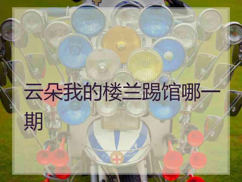 云朵我的楼兰踢馆哪一期
