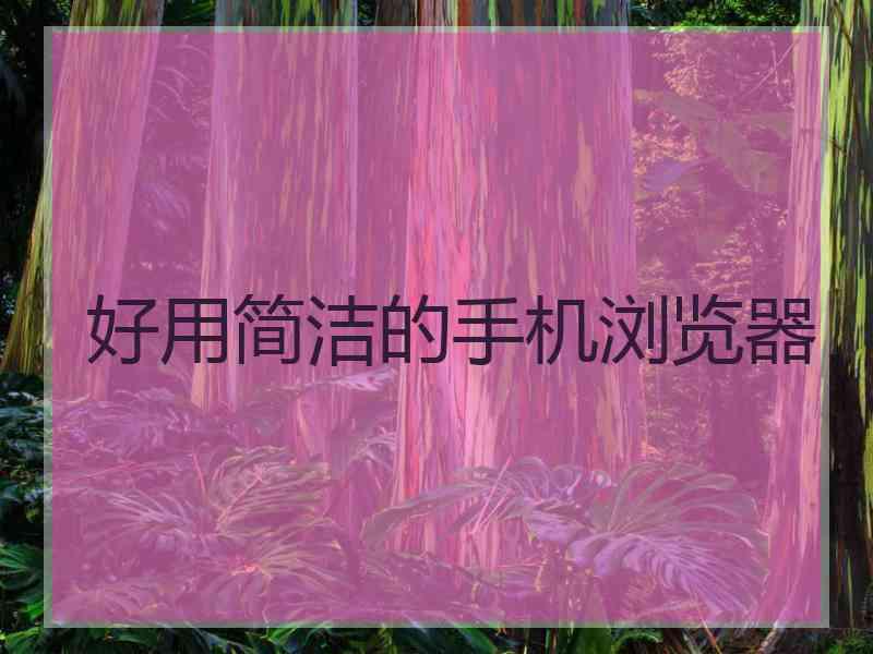 好用简洁的手机浏览器