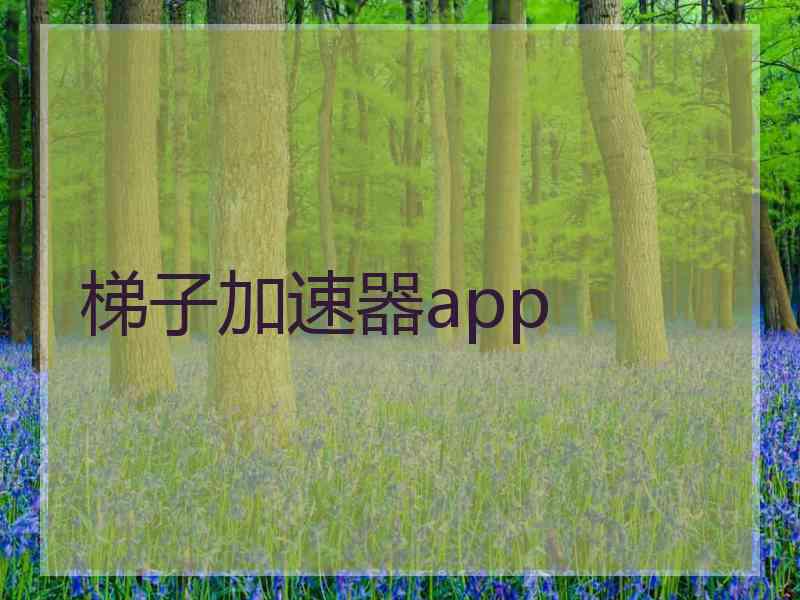 梯子加速器app
