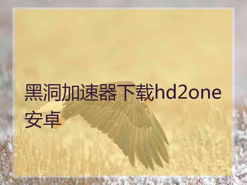 黑洞加速器下载hd2one安卓
