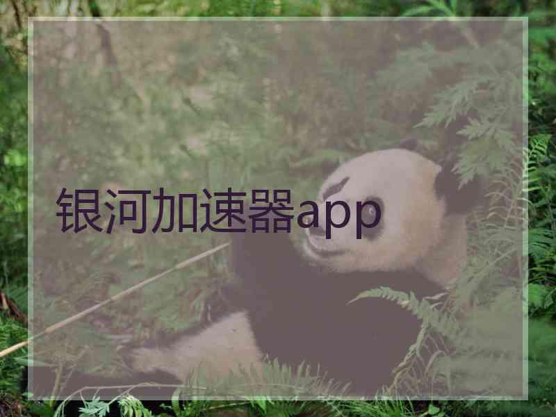 银河加速器app
