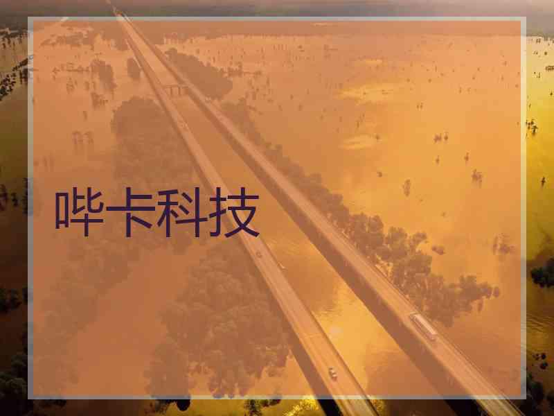 哔卡科技