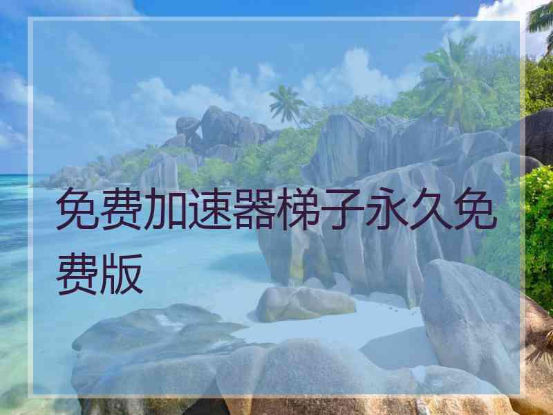 免费加速器梯子永久免费版