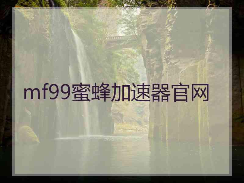 mf99蜜蜂加速器官网