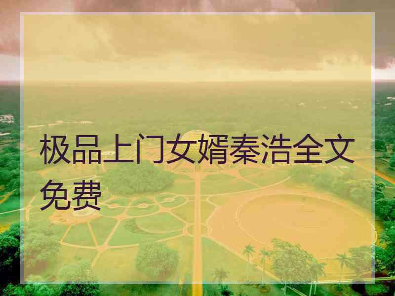 极品上门女婿秦浩全文免费