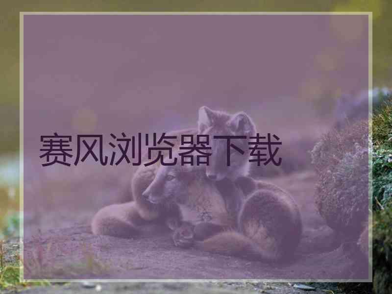 赛风浏览器下载