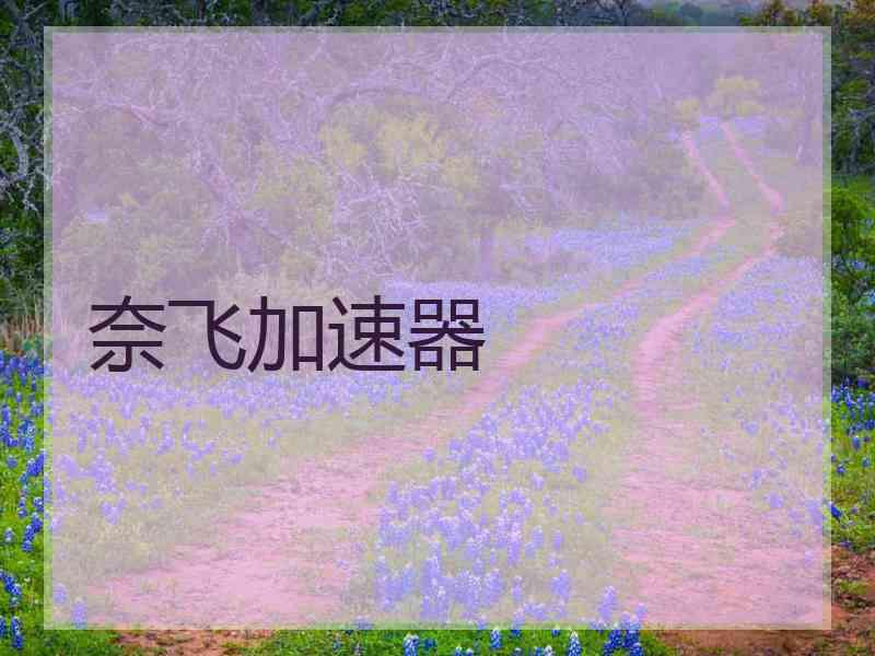 奈飞加速器