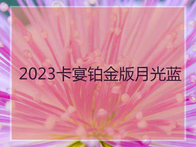 2023卡宴铂金版月光蓝