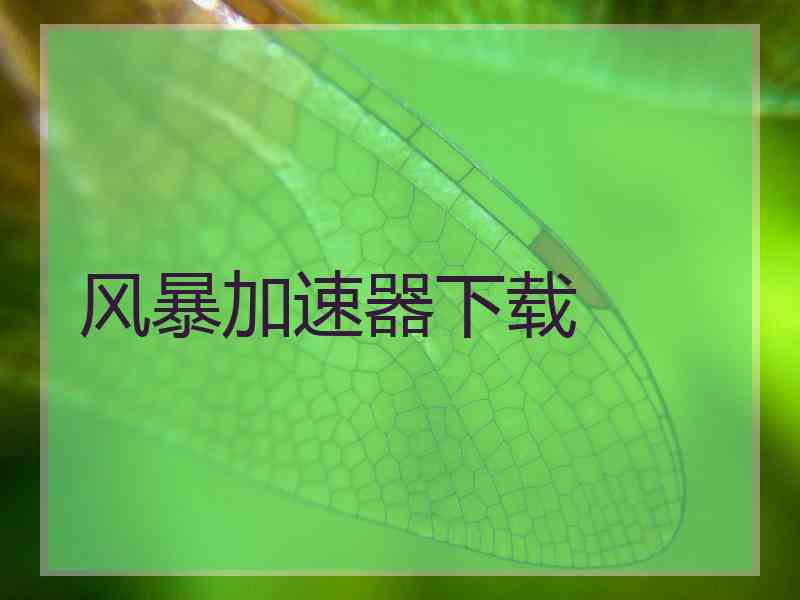 风暴加速器下载