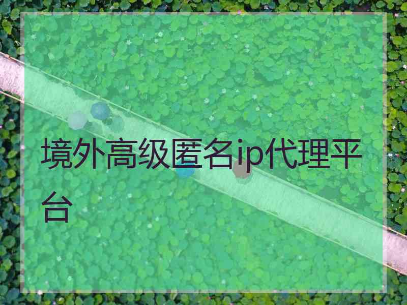 境外高级匿名ip代理平台
