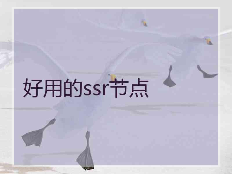 好用的ssr节点