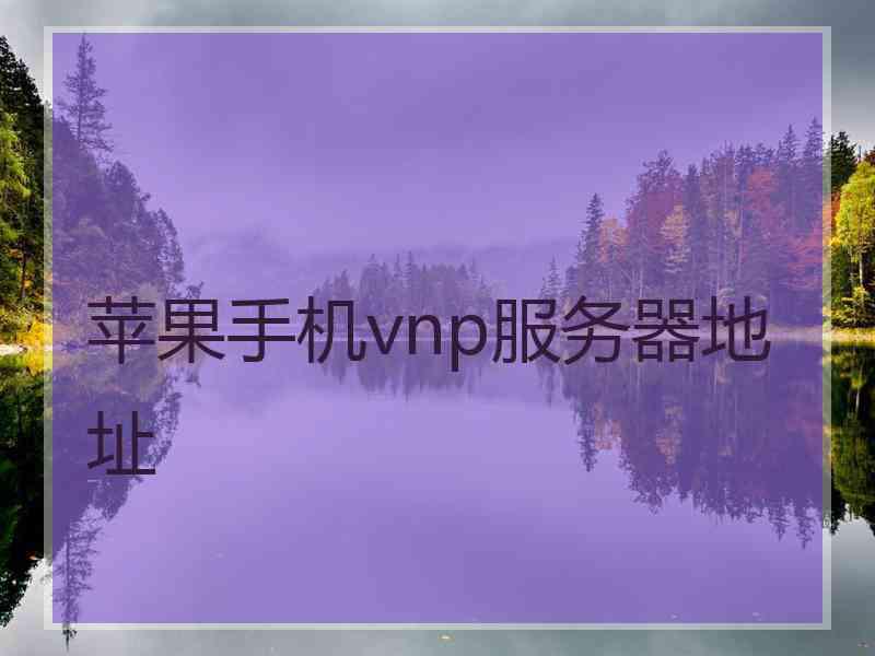 苹果手机vnp服务器地址