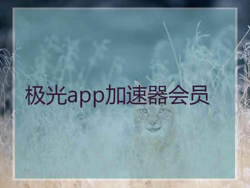 极光app加速器会员