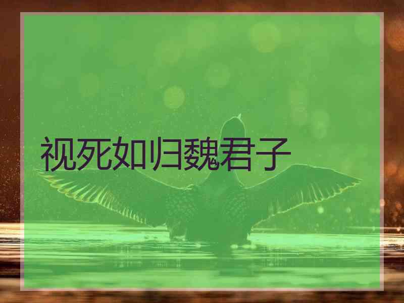 视死如归魏君子