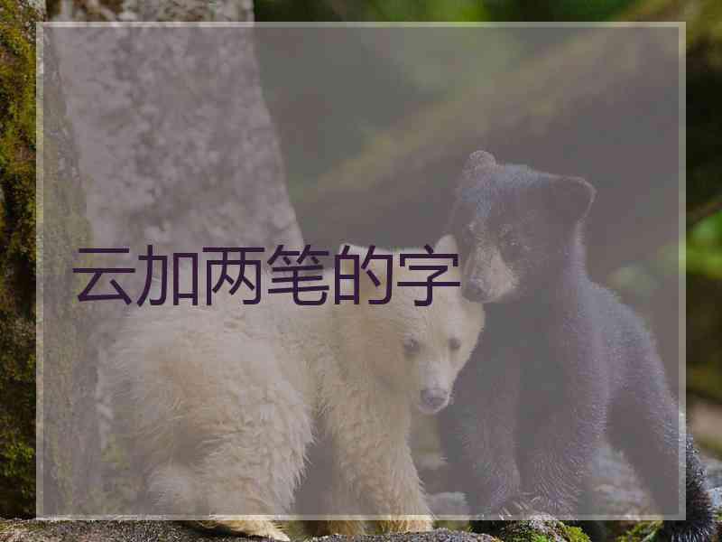 云加两笔的字