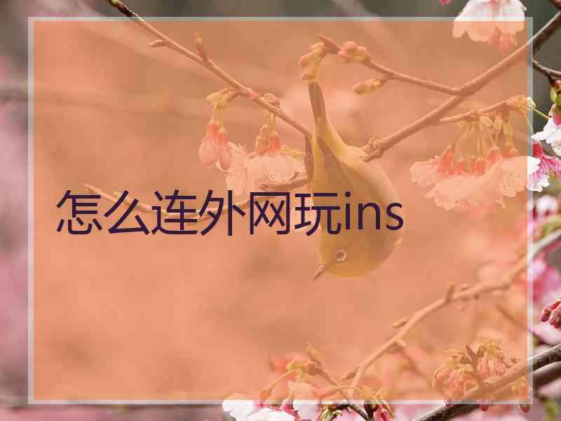 怎么连外网玩ins