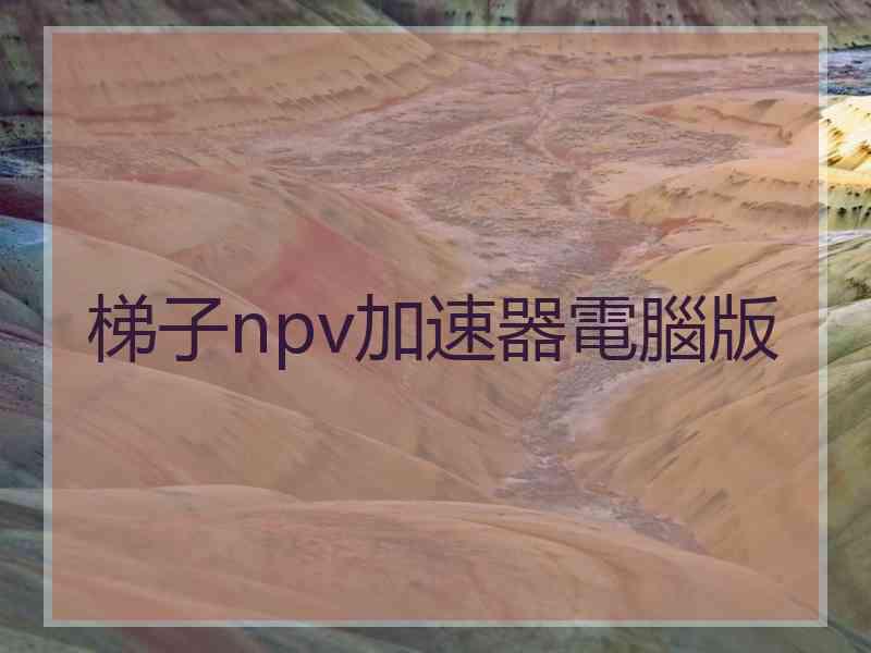 梯子npv加速器電腦版