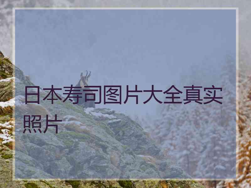 日本寿司图片大全真实照片