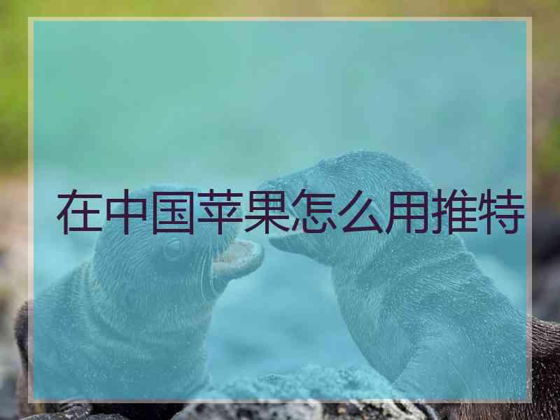 在中国苹果怎么用推特
