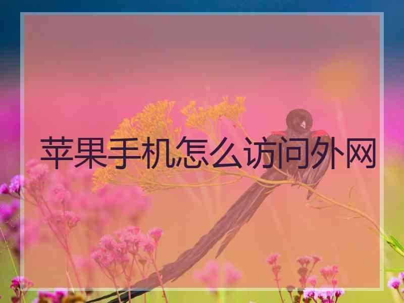 苹果手机怎么访问外网