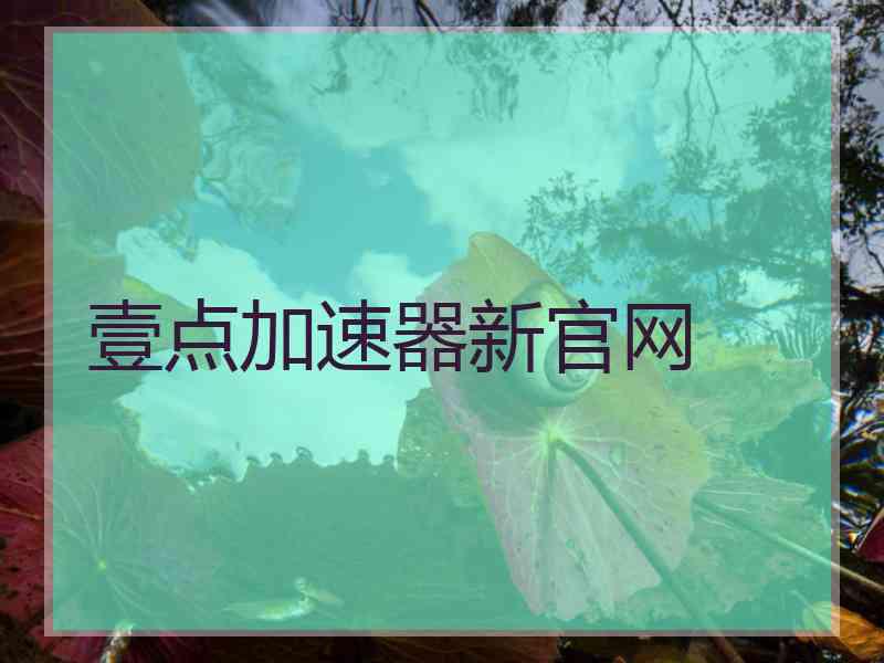 壹点加速器新官网