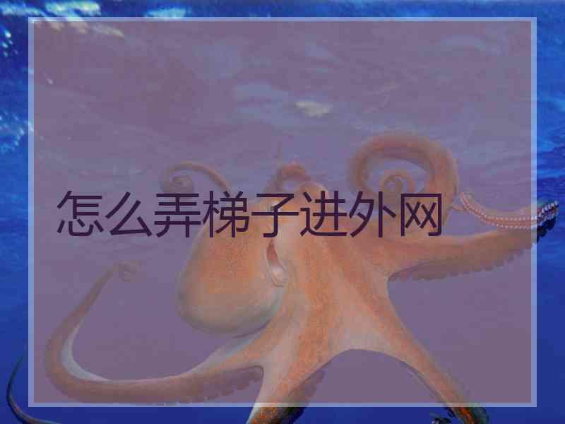 怎么弄梯子进外网