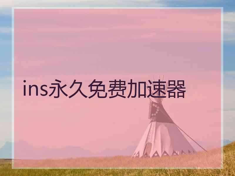ins永久免费加速器