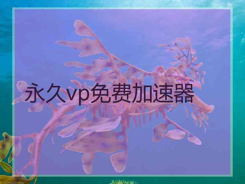 永久vp免费加速器