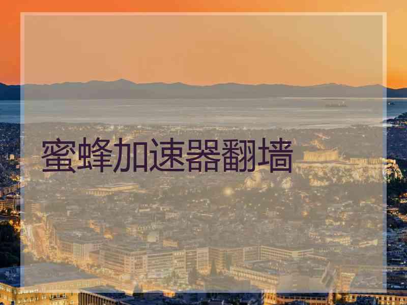 蜜蜂加速器翻墙