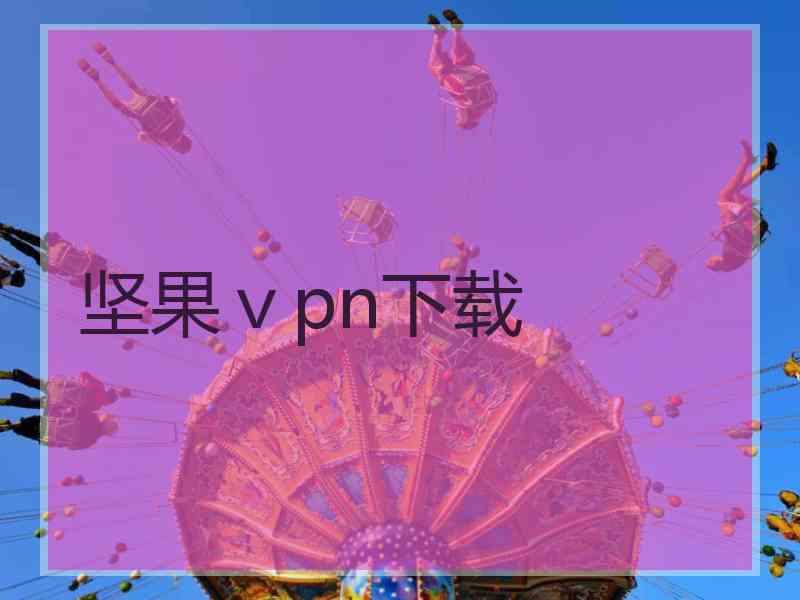 坚果ⅴpn下载