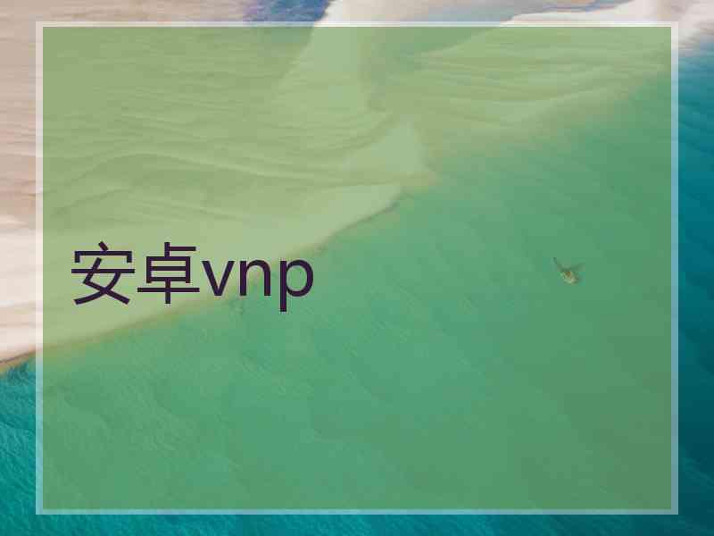 安卓vnp