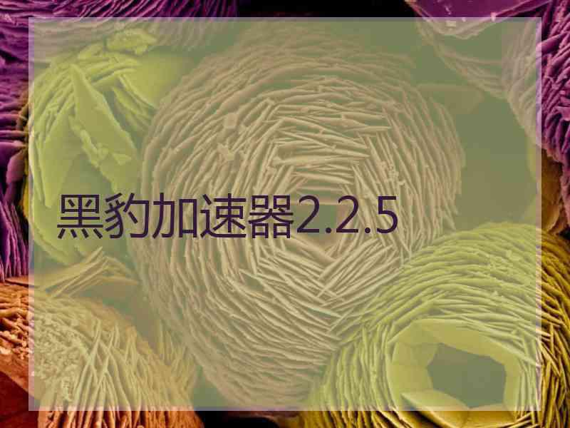 黑豹加速器2.2.5