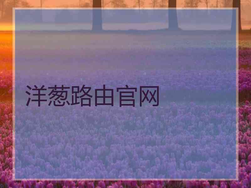 洋葱路由官网