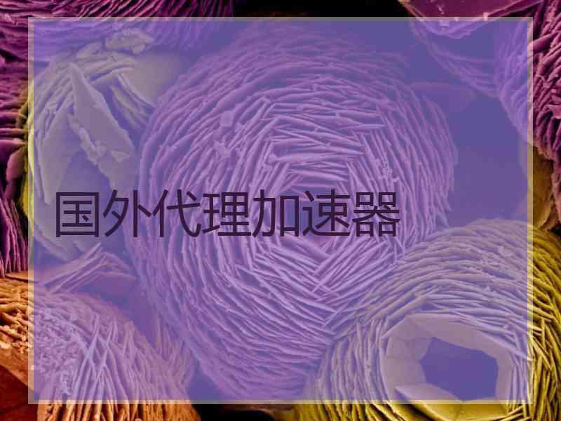 国外代理加速器