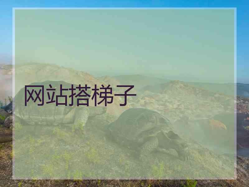 网站搭梯子
