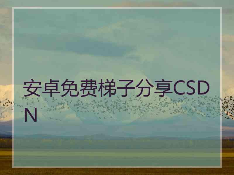 安卓免费梯子分享CSDN