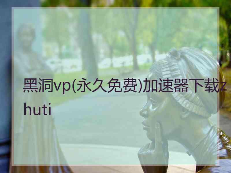 黑洞vp(永久免费)加速器下载zhuti