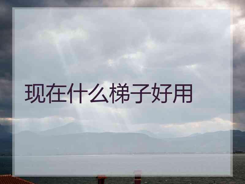 现在什么梯子好用