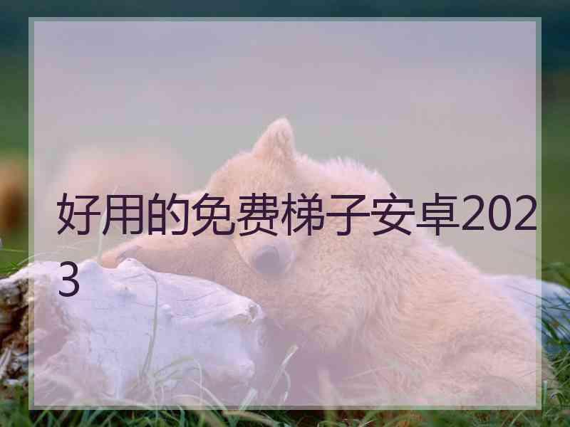 好用的免费梯子安卓2023