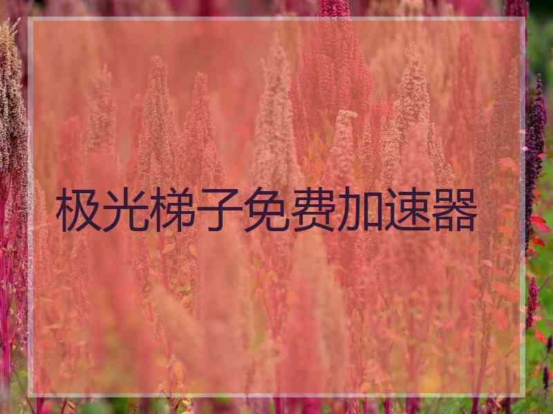 极光梯子免费加速器