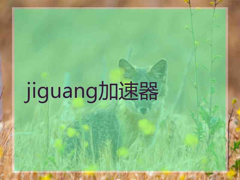 jiguang加速器