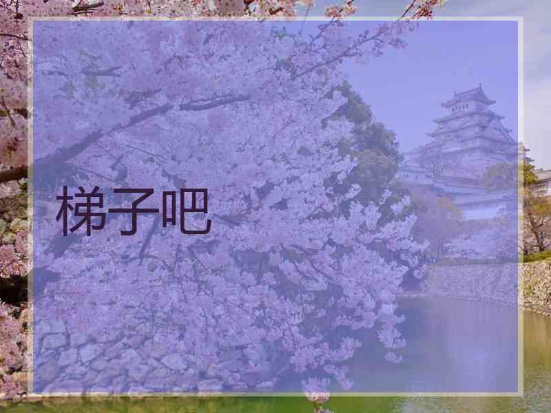 梯子吧