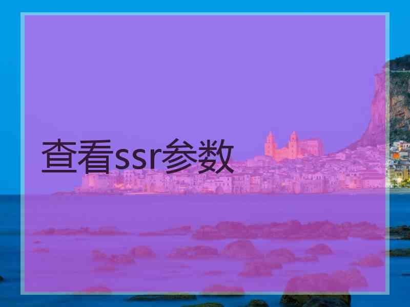 查看ssr参数