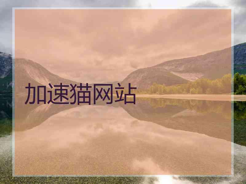 加速猫网站