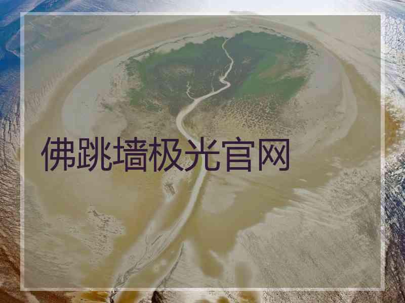 佛跳墙极光官网