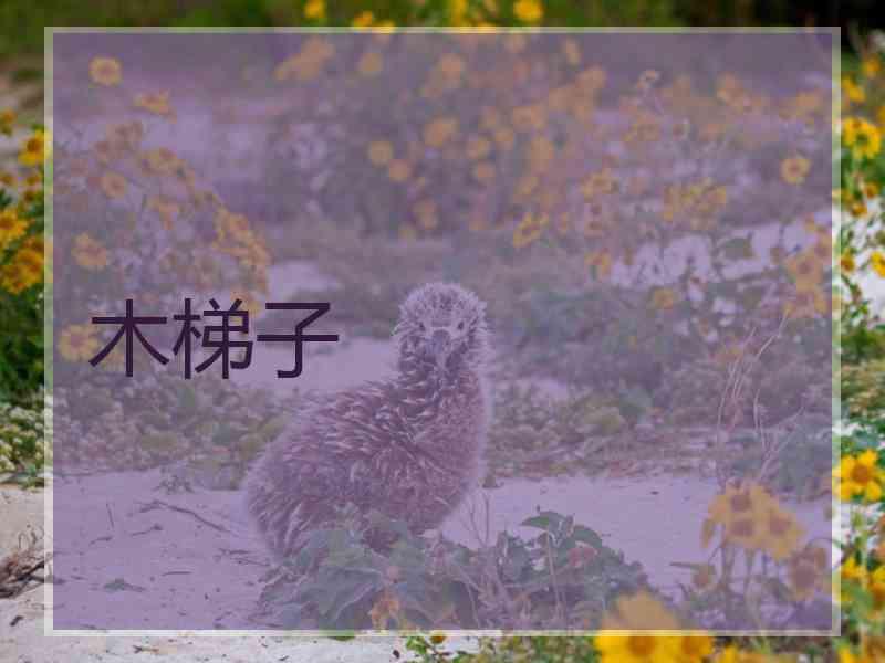 木梯子