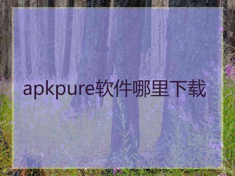 apkpure软件哪里下载