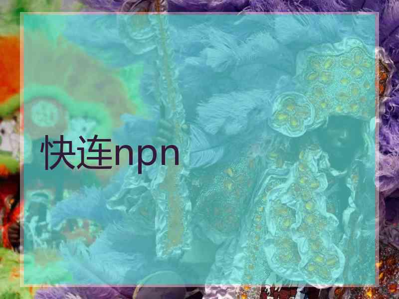 快连npn